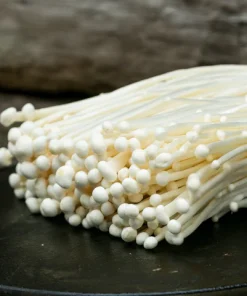 buy enoki mushroom