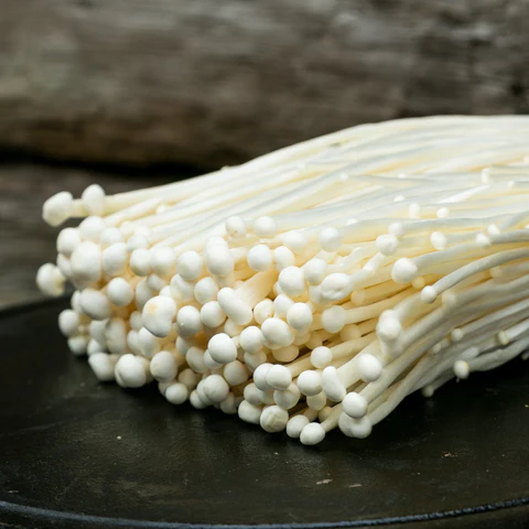 buy enoki mushroom buy enoki mushroom