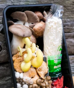 Wild/Exotic Mushroom Mix