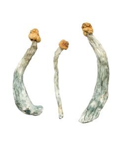 Comprar setas mágicas Creeper