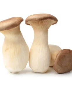 Comprar setas King Trumpet