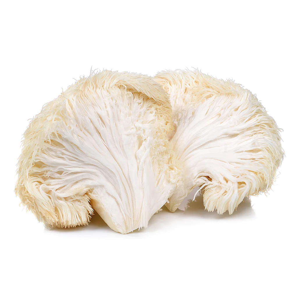 Lion's Mane Powder Lion's Mane Powder