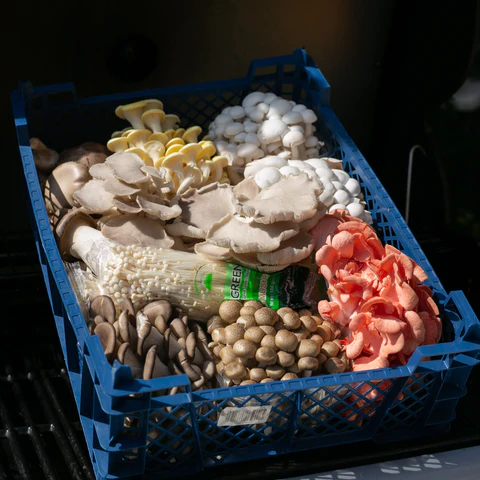 The Big BBQ Mix (1.5KG) Bend The Big BBQ Mix (1.5KG) Bend