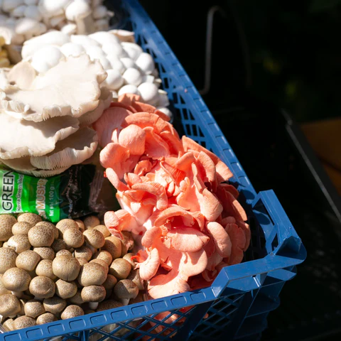 The Big BBQ Mix (1.5KG) Bend The Big BBQ Mix (1.5KG) Bend