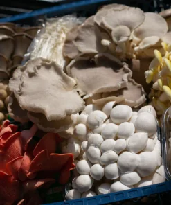 Comprar The Big BBQ Mix (1,5 kg) Bend