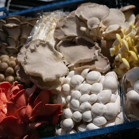 Comprar The Big BBQ Mix (1,5 kg) Bend Comprar The Big BBQ Mix (1,5 kg) Bend