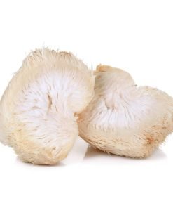 Lions Mane Mushrooms + HHC Gummies