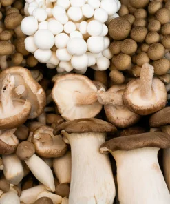 The Stir Fry Mix (1KG)