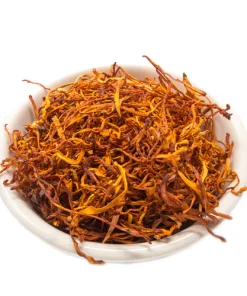 Comprar hongo de oruga online