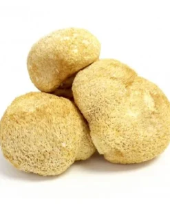 Comprar setas de melena de león online